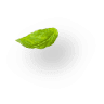 The Online Grocery Store
